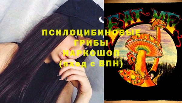 spice Михайловка
