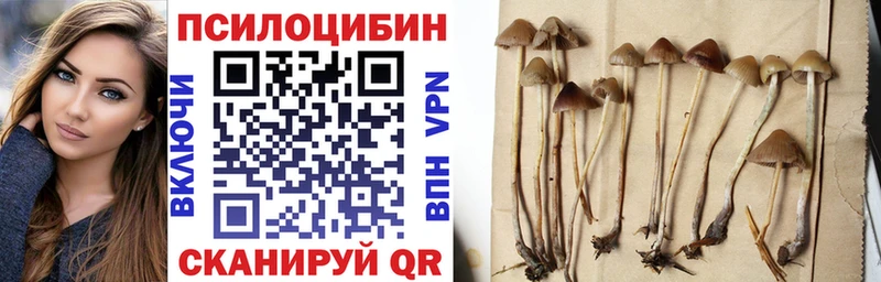 Псилоцибиновые грибы мухоморы Южно-Сахалинск